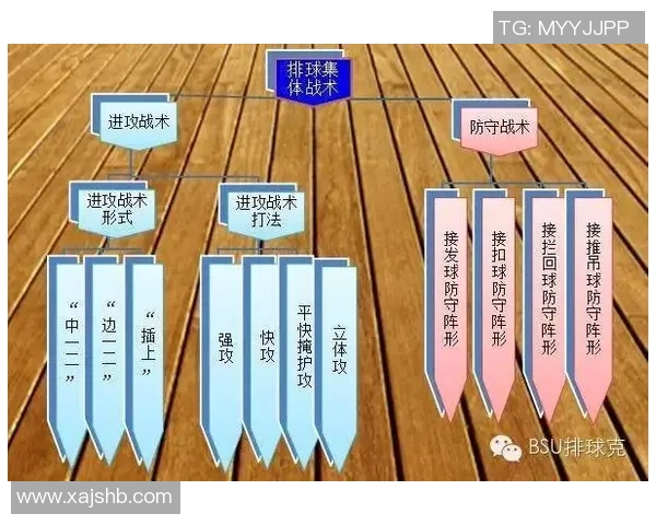 深度分析深圳排球队进攻战术及其在比赛中的应用策略 深度分析深圳排球队进攻战术及其在比赛中的应用策略