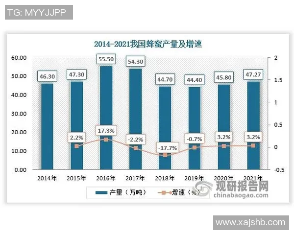 武汉网球队实力分析与表现评估探讨及未来发展方向研究实时数据